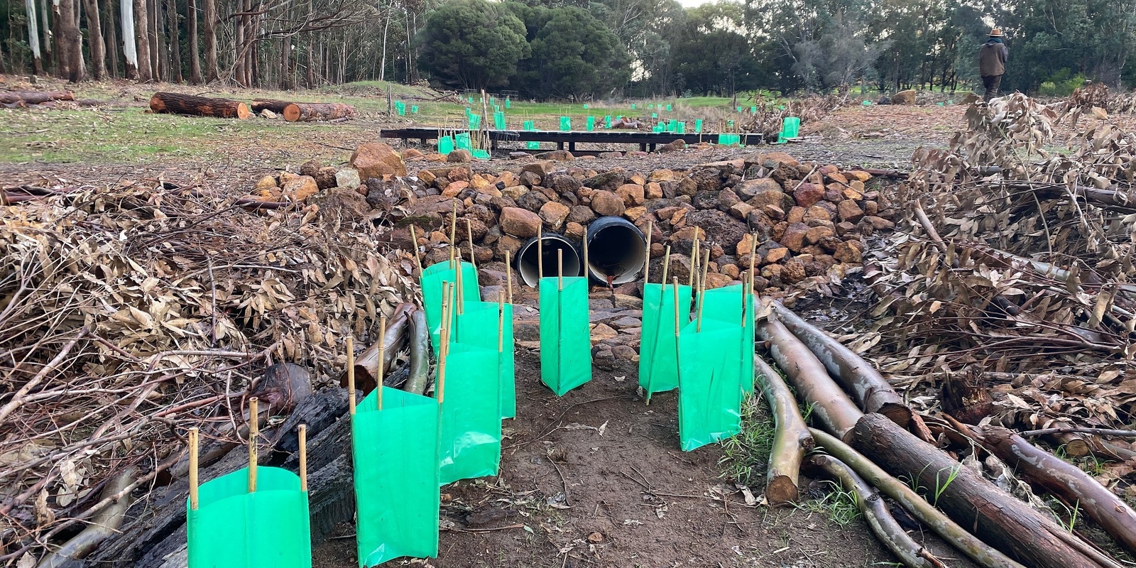 Banner image for Open day at Fair Harvest-  FREE - guided tour of our revegetation project - 