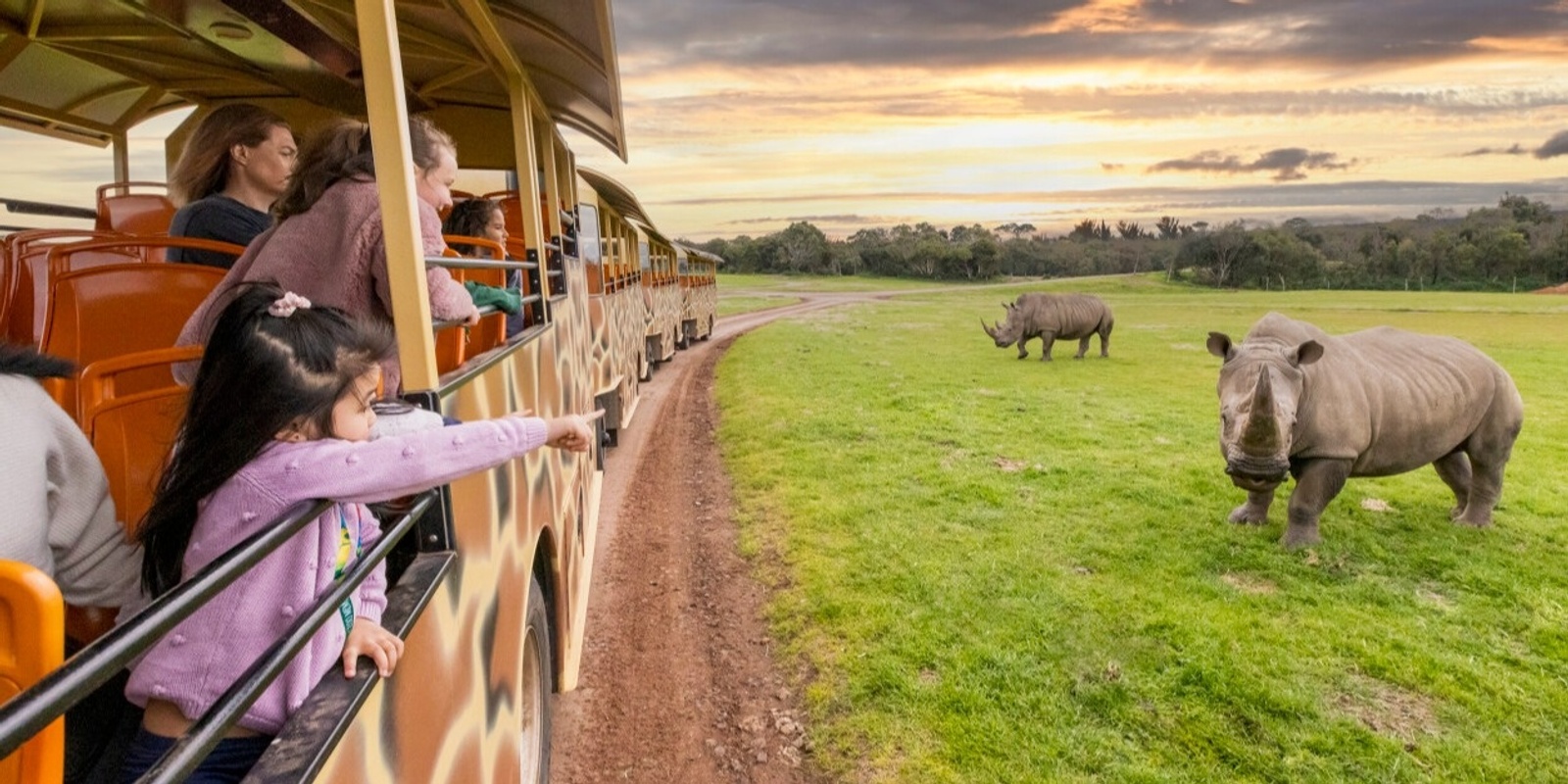 Banner image for FREE SAFARI BUS