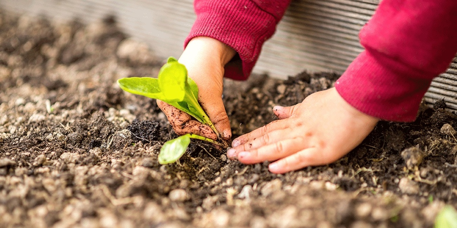 Banner image for IGS Community Learning Program 2019: Food for Wellbeing 