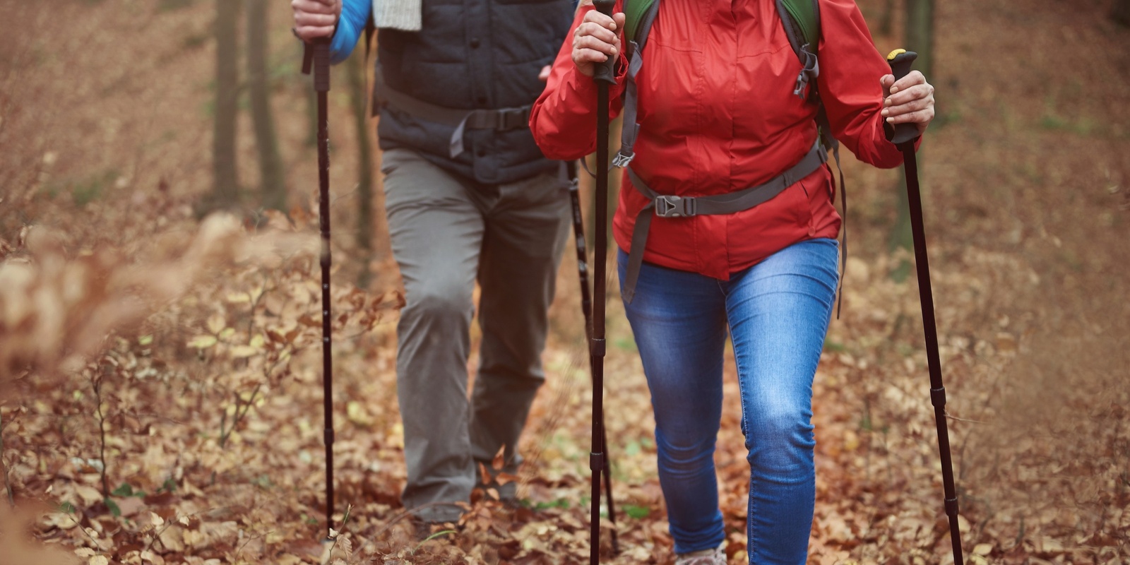 Banner image for Bushwalking Skills with Walking SA