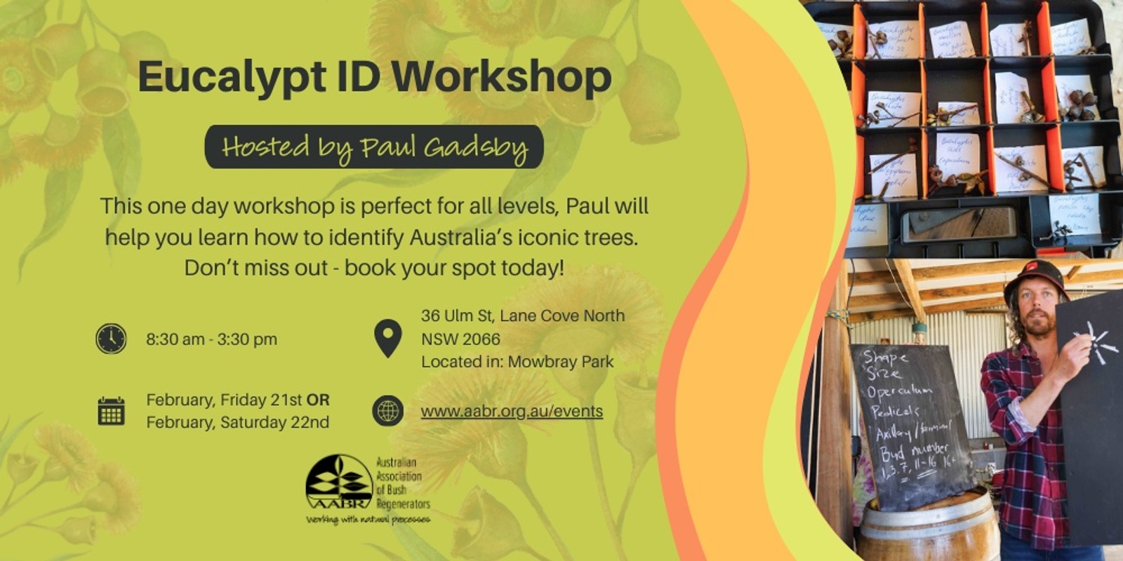 Banner image for Eucalypt ID Workshop with Gum Guru Gadsby - Saturday 22nd Feb, Northern Sydney, NSW