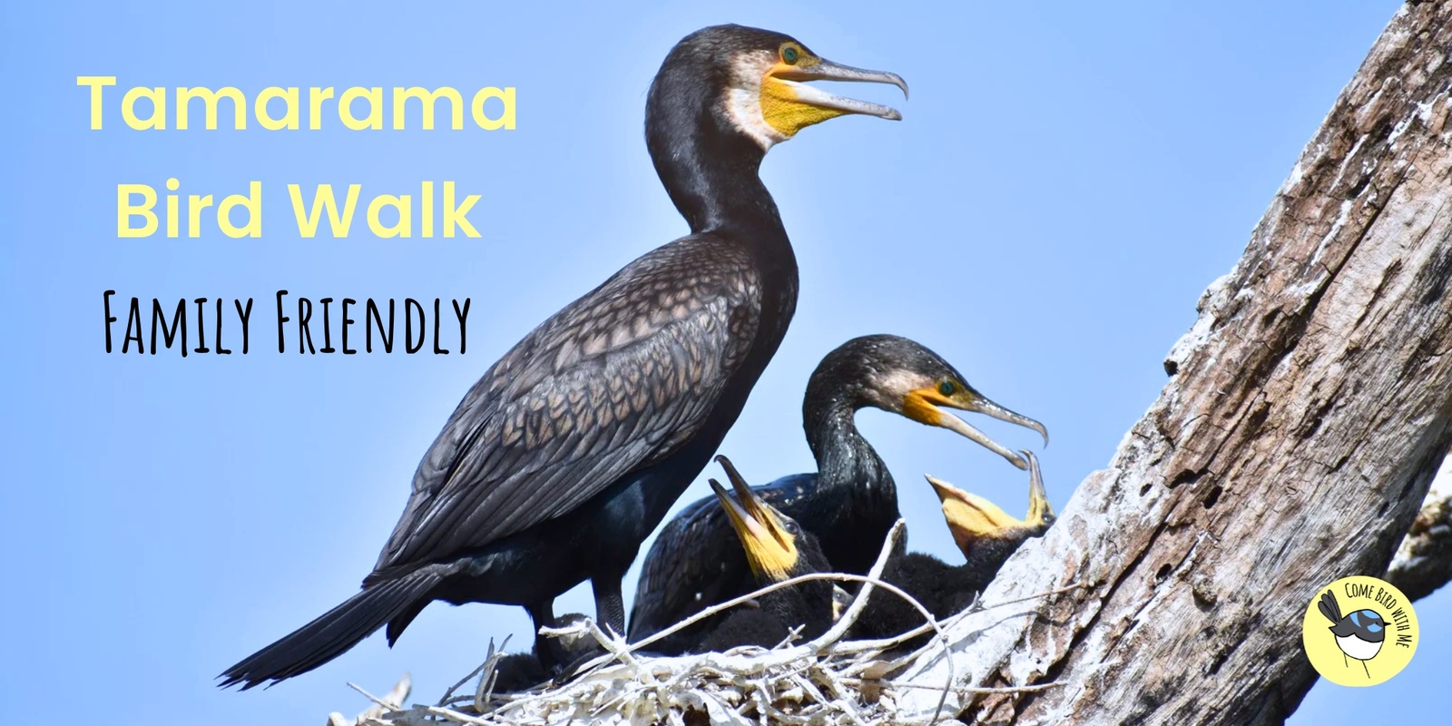 Banner image for Family Friendly Bird Walk in Tamarama - August