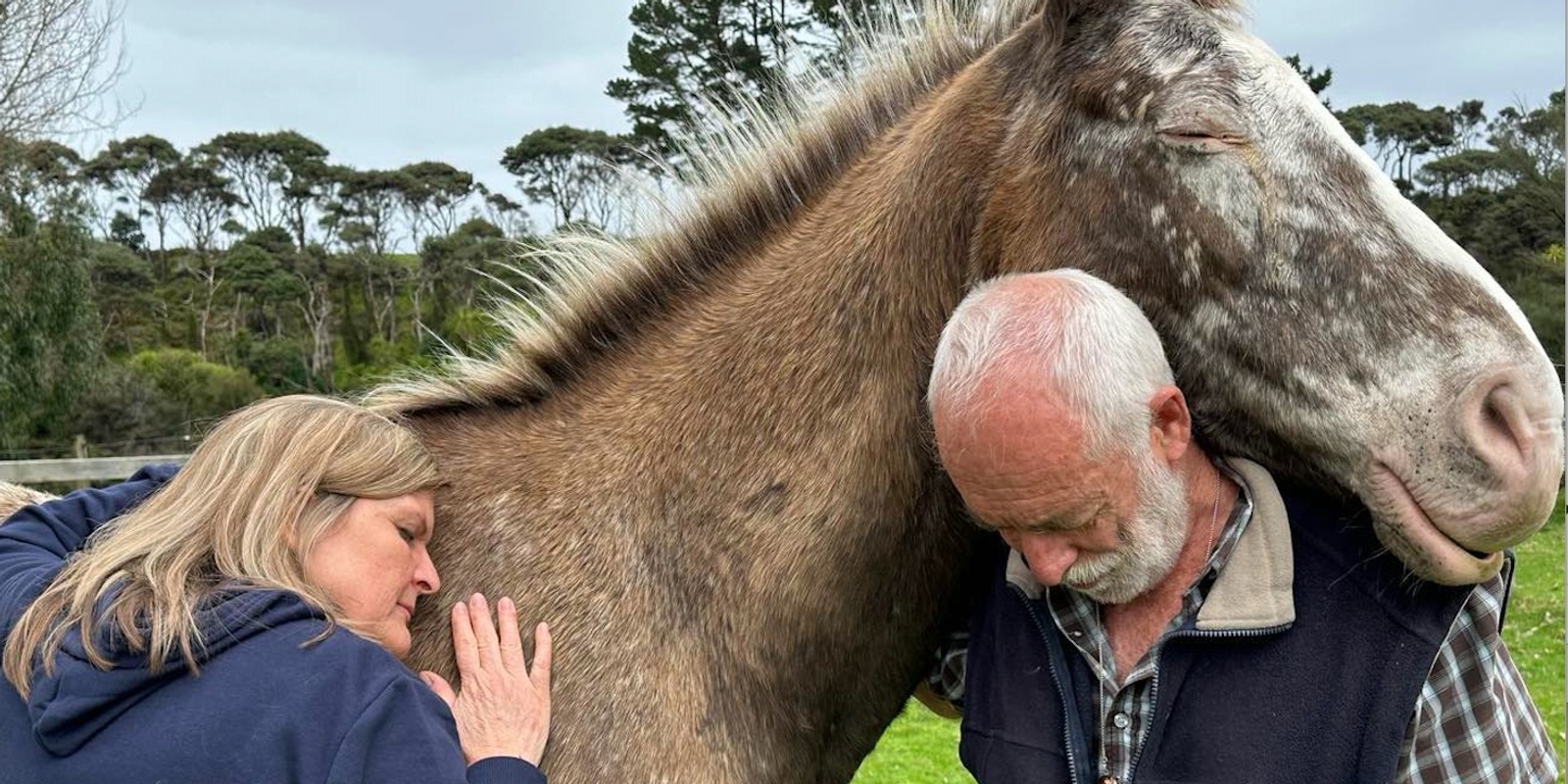 Banner image for Horses, You & Your Relationship Weekend Retreat * 8-10 November 