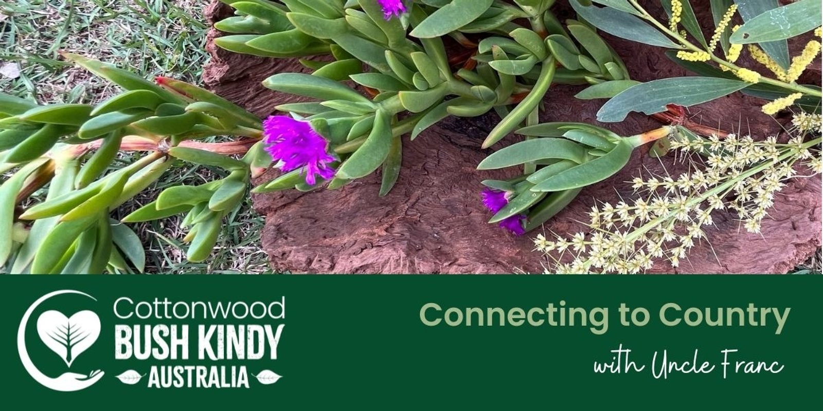 Banner image for Connecting to Country for Educators 27 Feb - Fingal