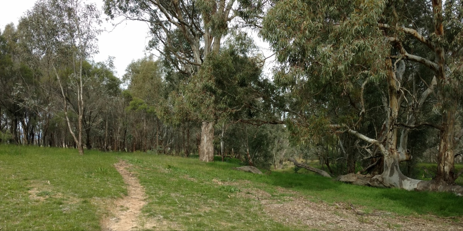 Banner image for 8 Mile Creek Community Stewardship Morning