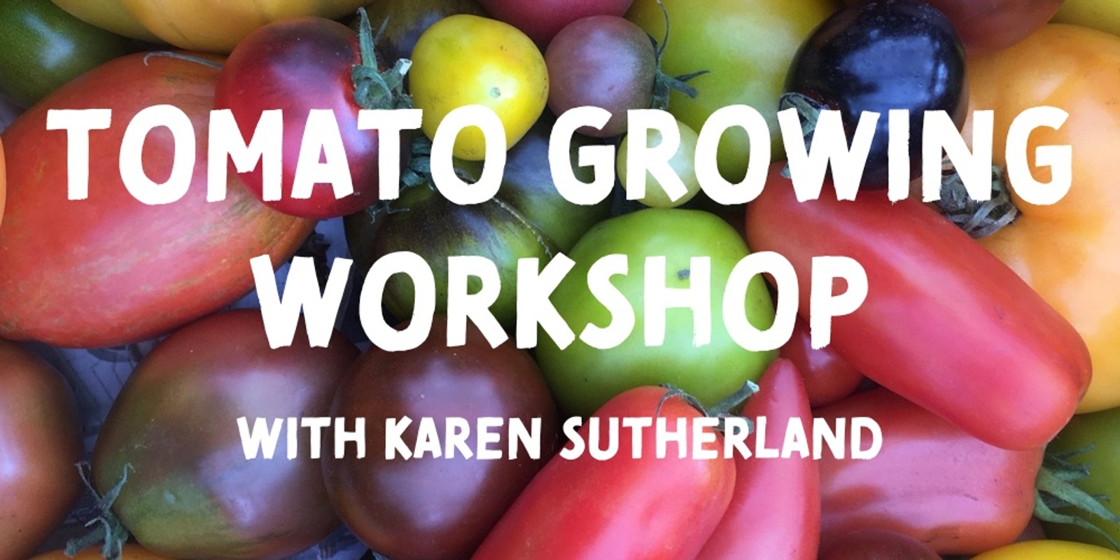 Banner image for Tomato Growing Workshop