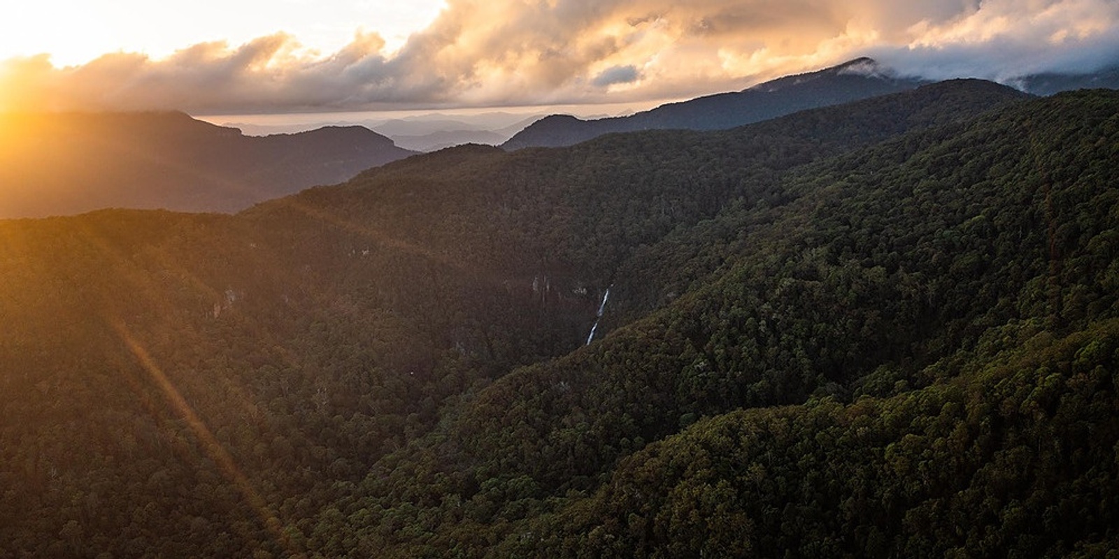 Banner image for Wagawn / Bushrangers Cave Wild Walk