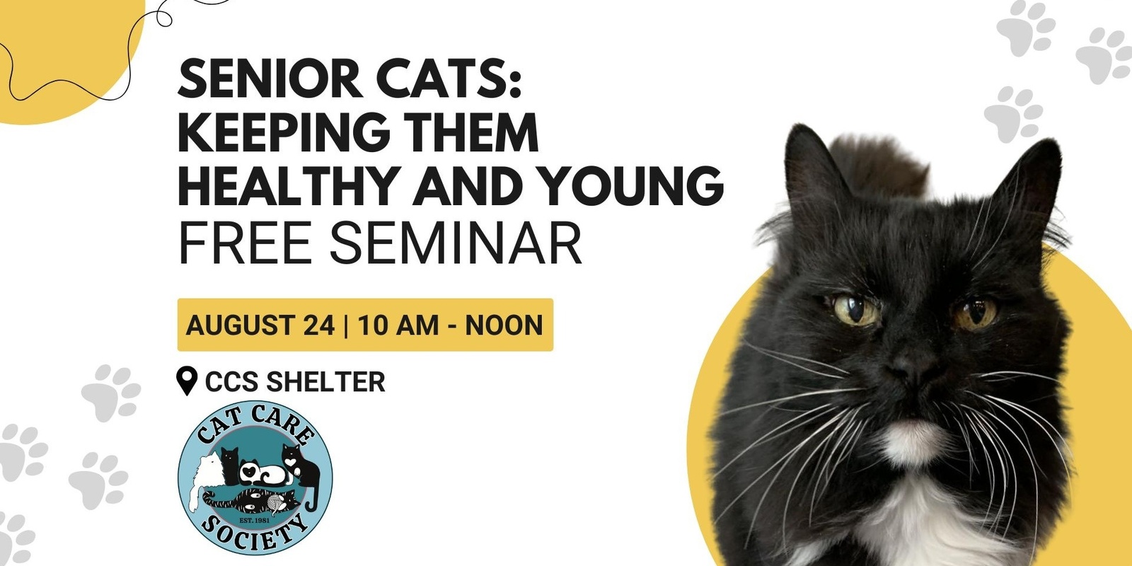 Banner image for Seminar: Senior Cats