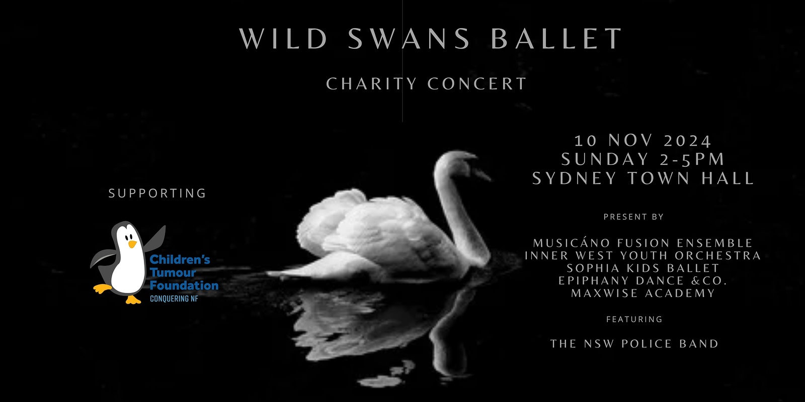 Banner image for Wild Swans Ballet Town Hall