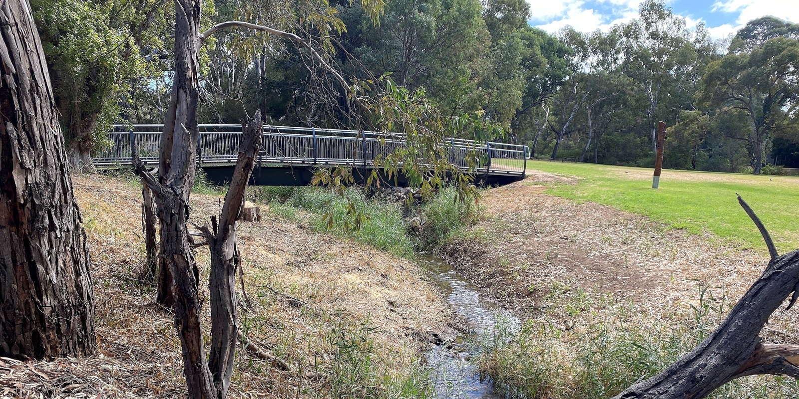 Banner image for Oxbow Planting at Warriparinga