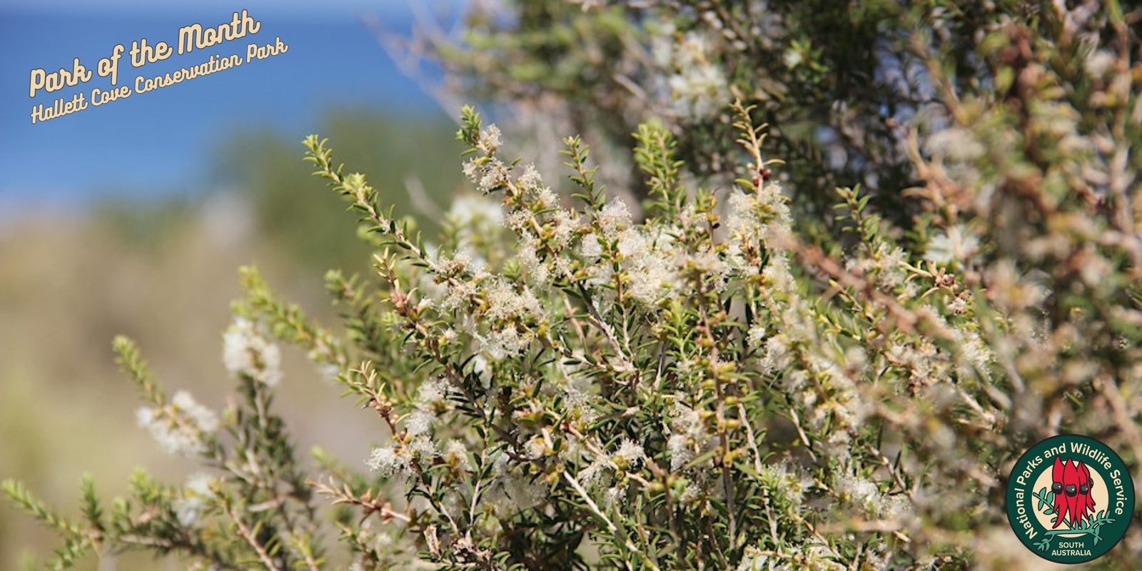 Banner image for Botanical tour of Hallett Cove Conservation Park