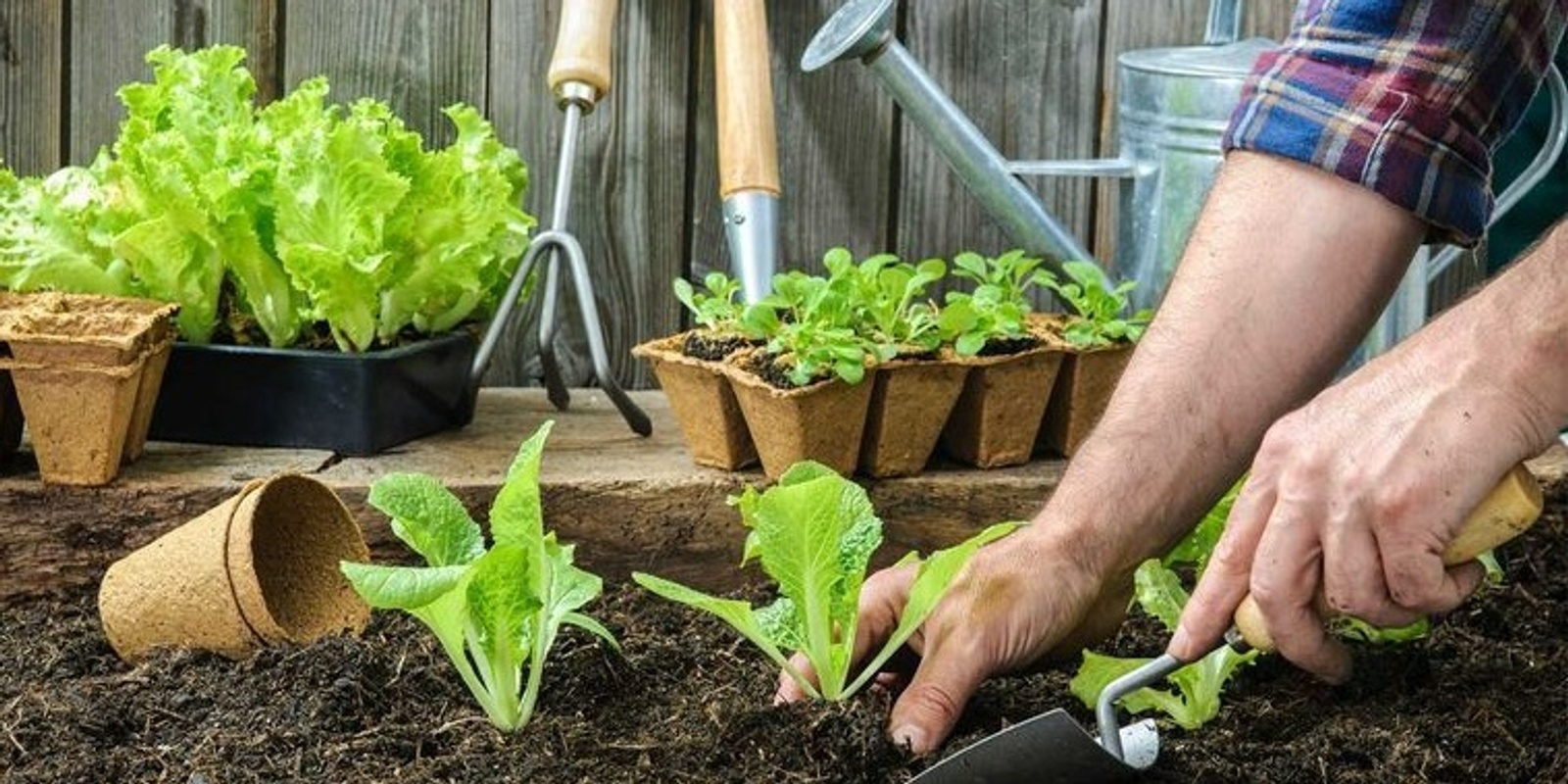 Banner image for Winter Gardening