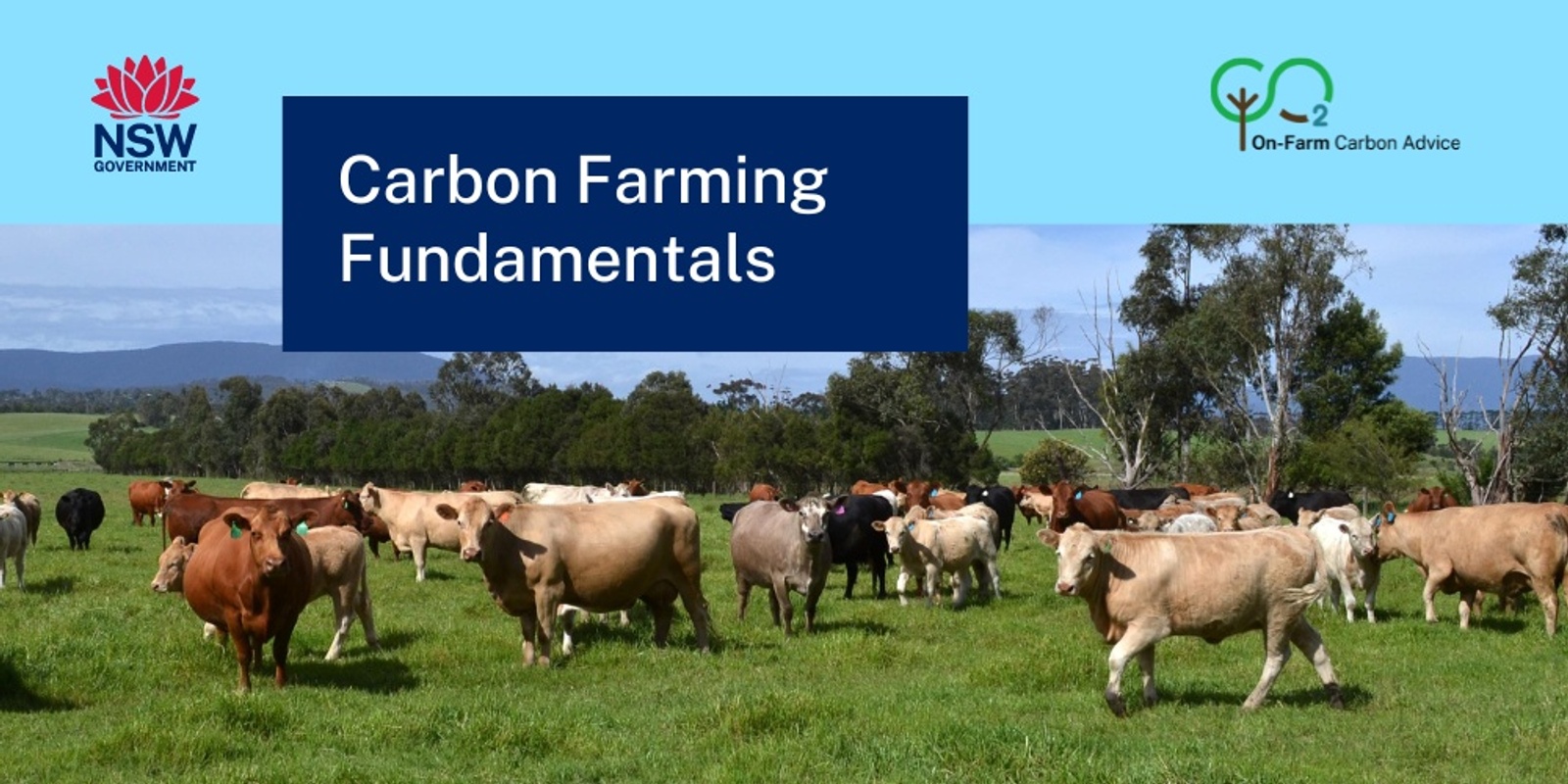 Banner image for Carbon Farming Fundamentals  - Tamworth