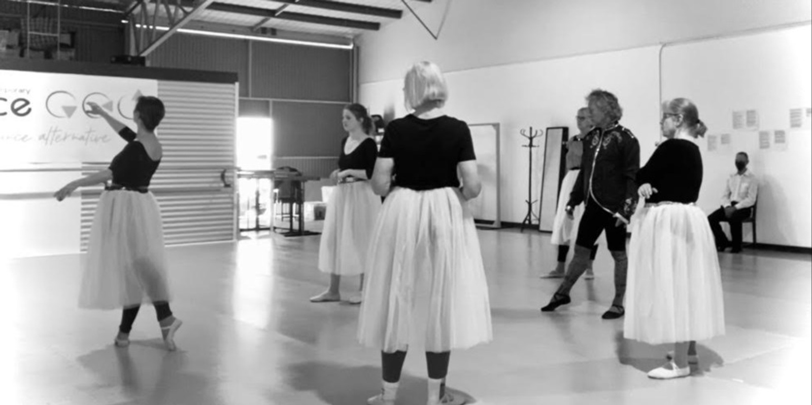 Banner image for Adult Ballet Summer Sessions