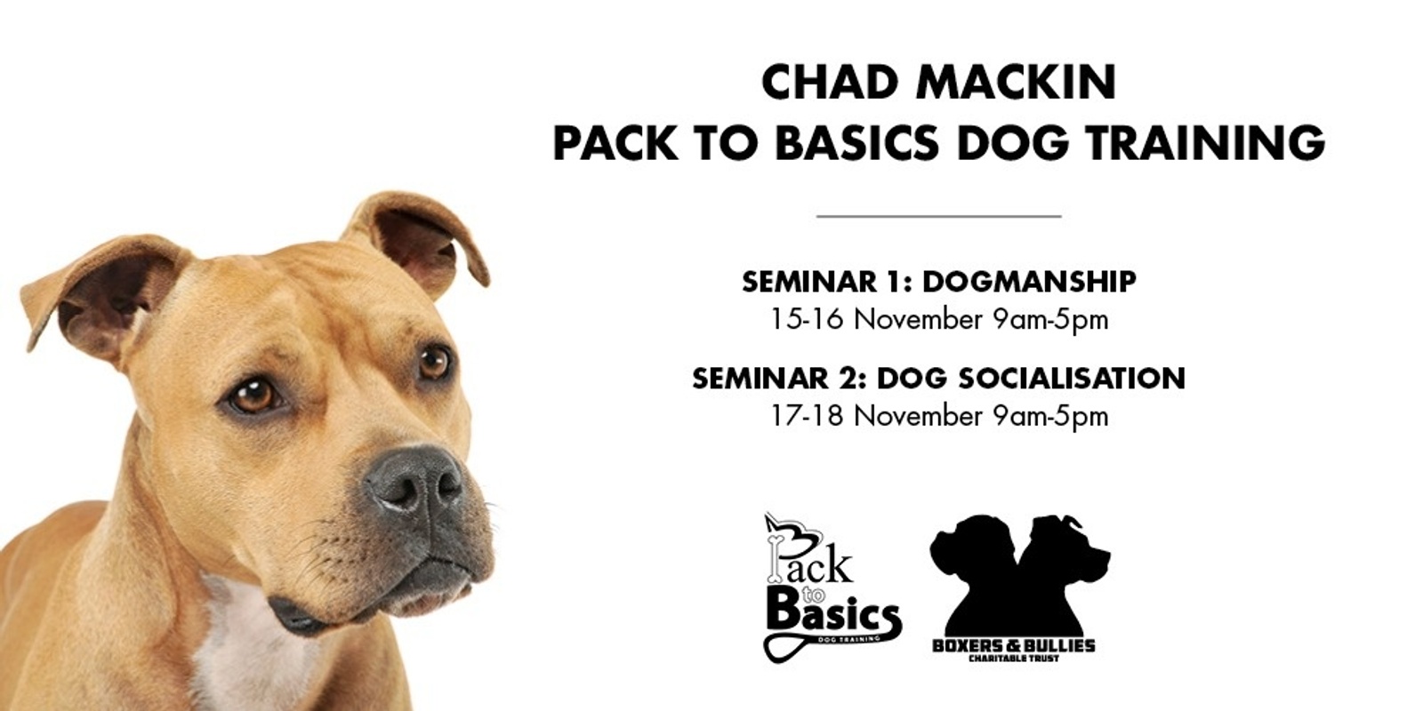 Banner image for Chad Mackin New Zealand Seminar