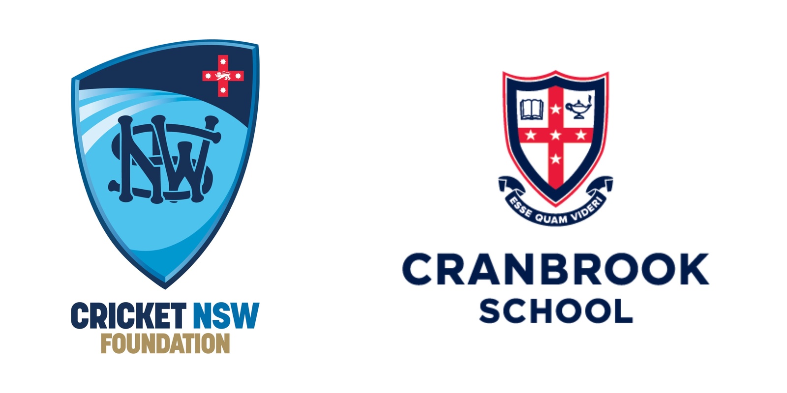 Banner image for Cricket NSW Foundation Cranbrook Cricket Festival 