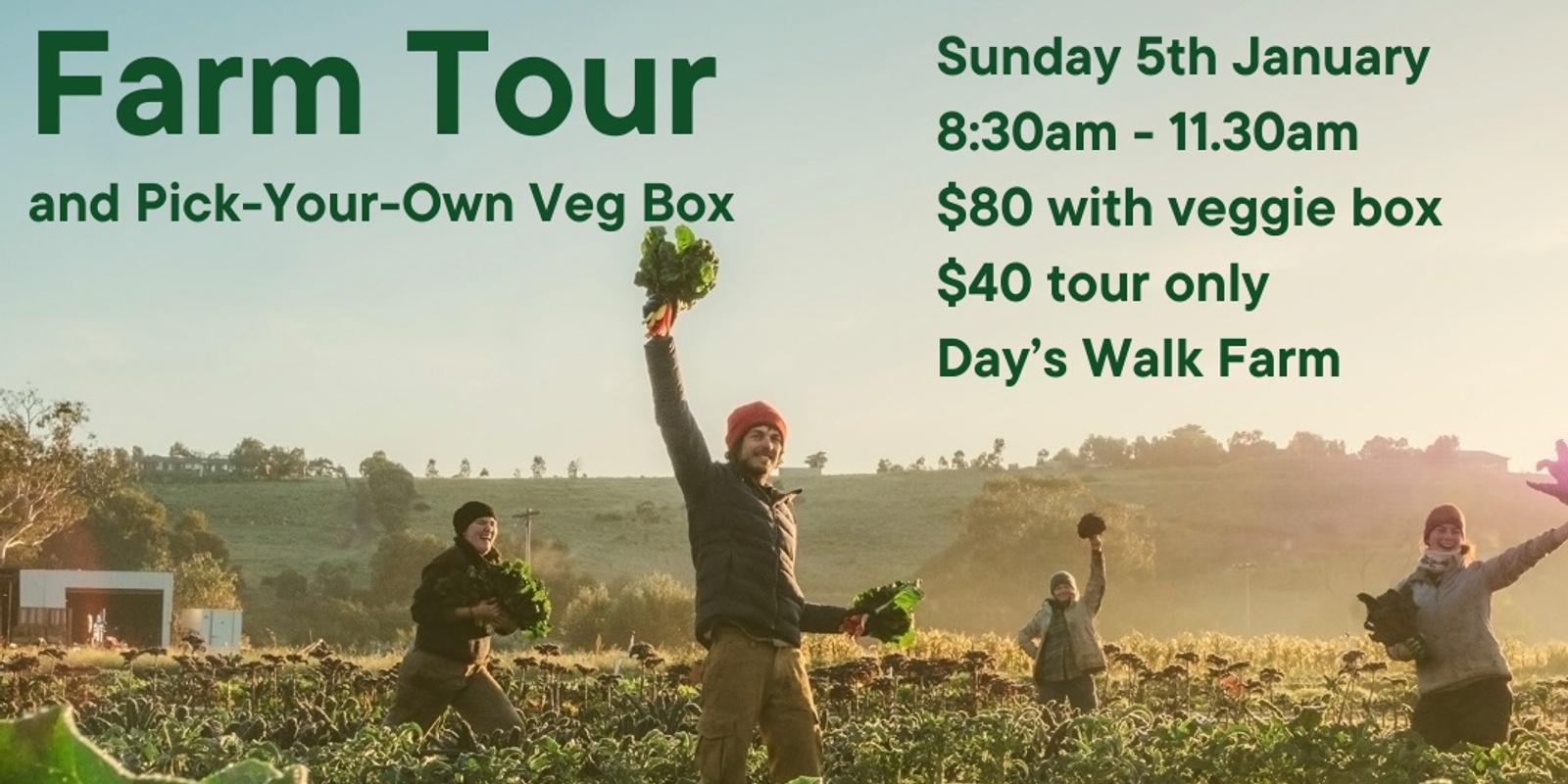 Banner image for Day's Walk Farm FARM TOUR & PICK YOUR OWN VEGGIE BOX 