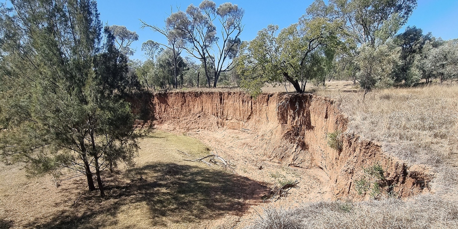 Banner image for What's up with this Gully?  A model to guide management options  