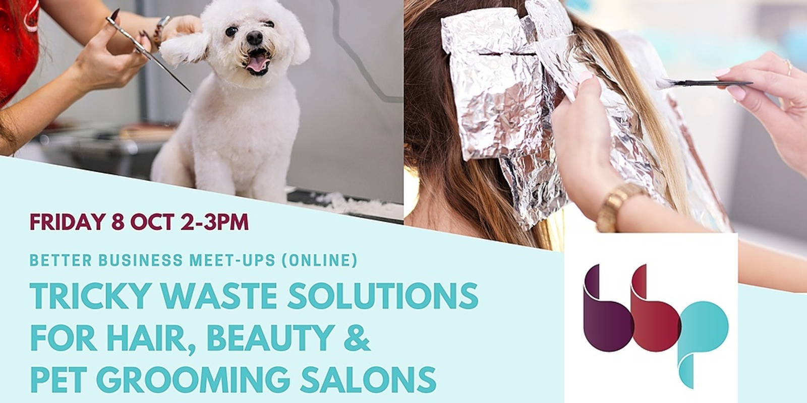 Banner image for BBP Business Session: Tricky Waste Solutions for Hair Salons