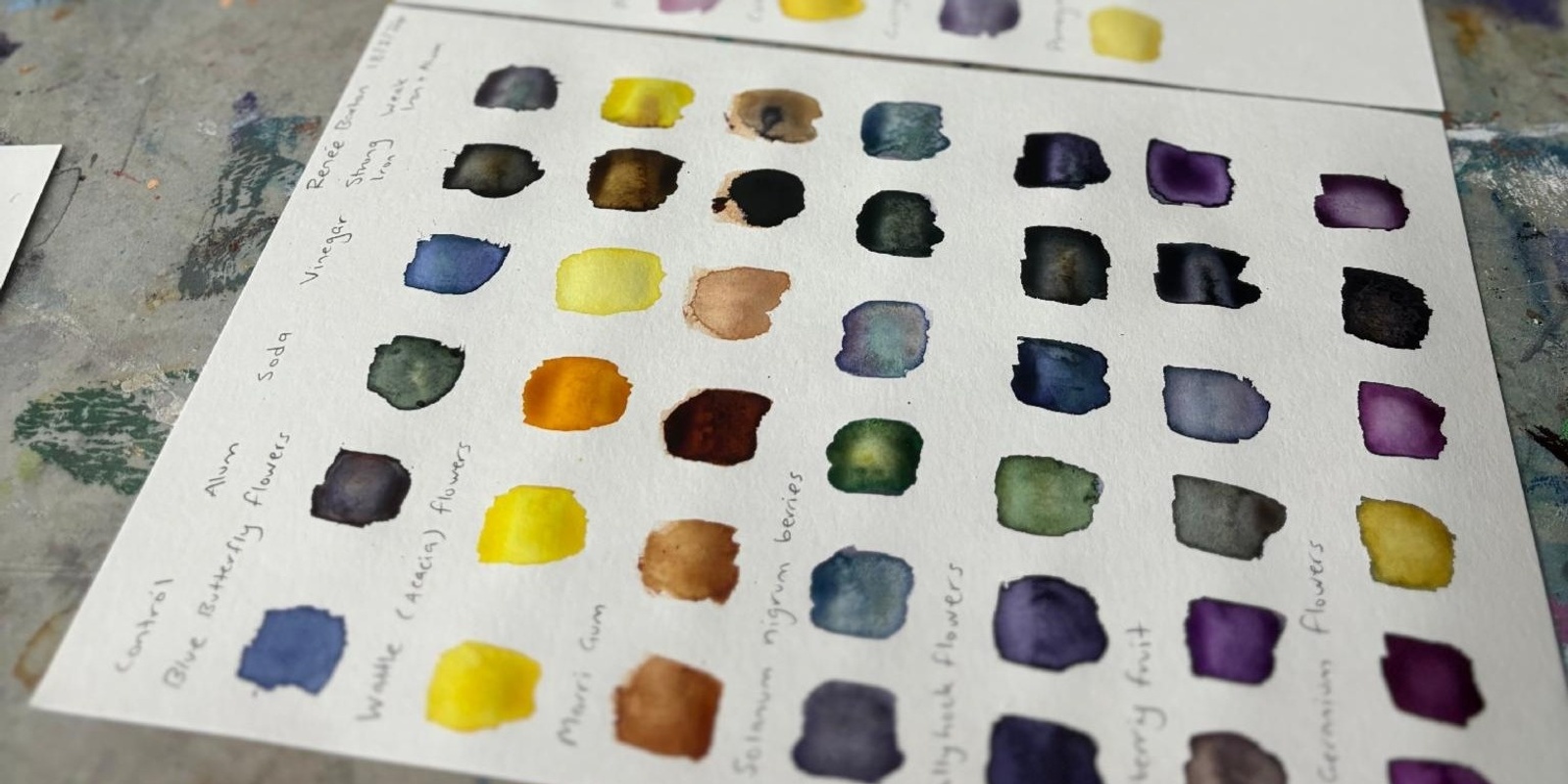 Banner image for Introduction to Natural Inks with Helen Coleman