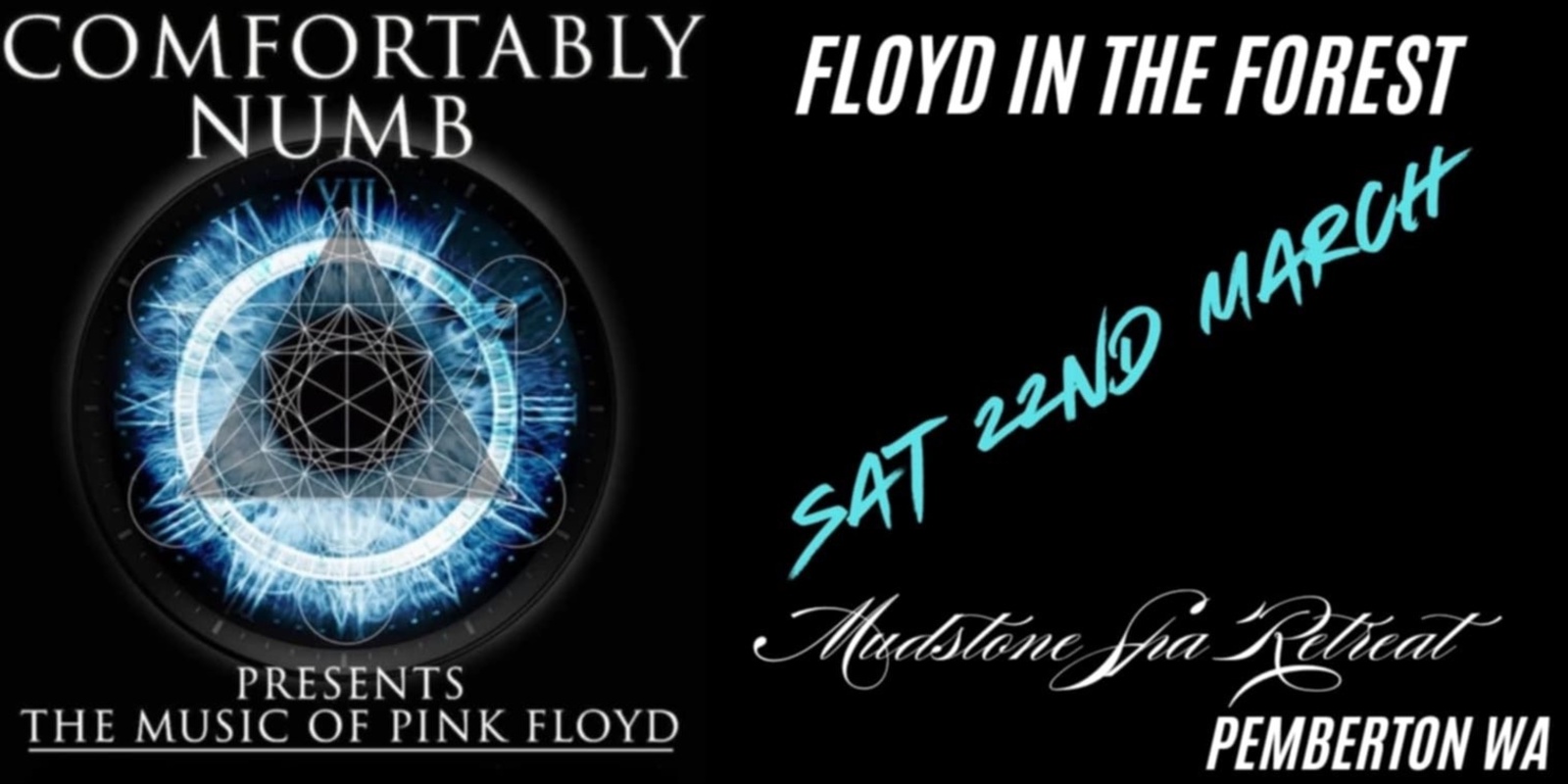 Banner image for Floyd In The Forest