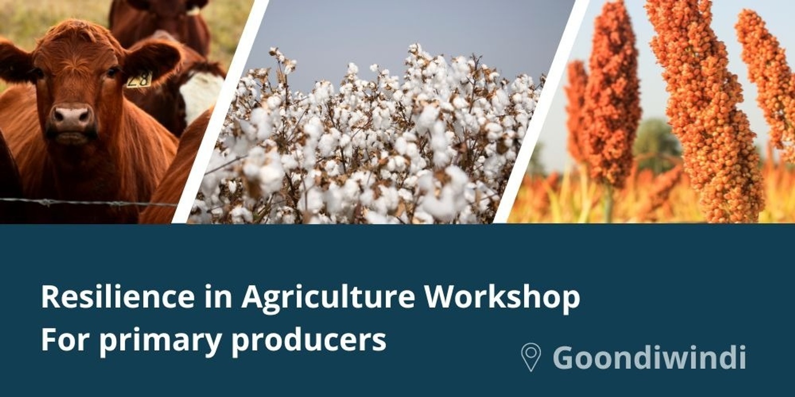 Banner image for Resilience in Agriculture Workshop - Goondiwindi