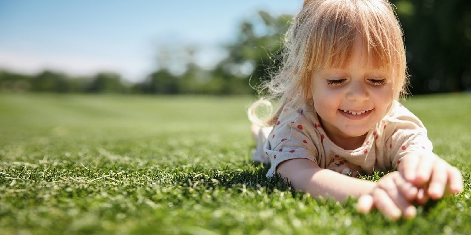 Banner image for Seedlings Nature School - Royal Botanic Garden Sydney