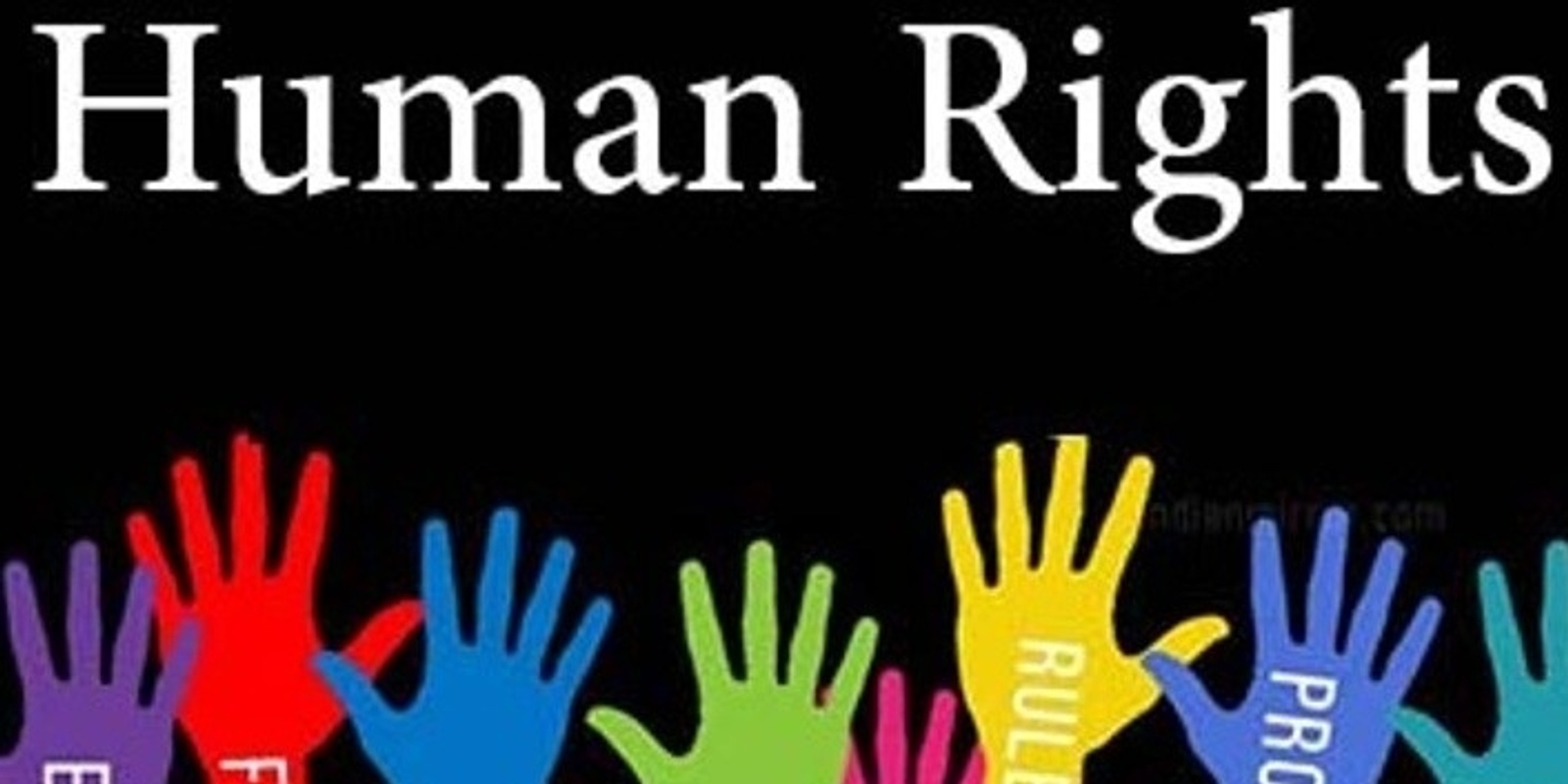 Banner image for Human Rights - Australian Focus