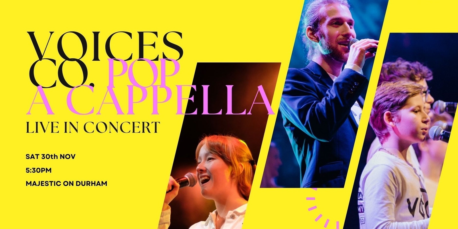 Banner image for Voices Co. Live in Concert