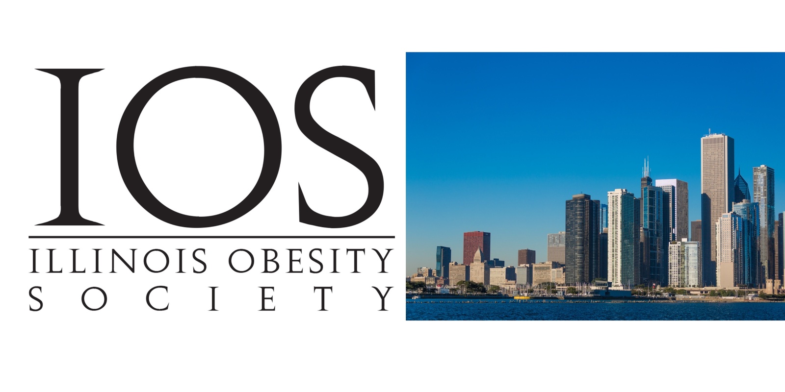 Banner image for 2024 Chicago Obesity Summit