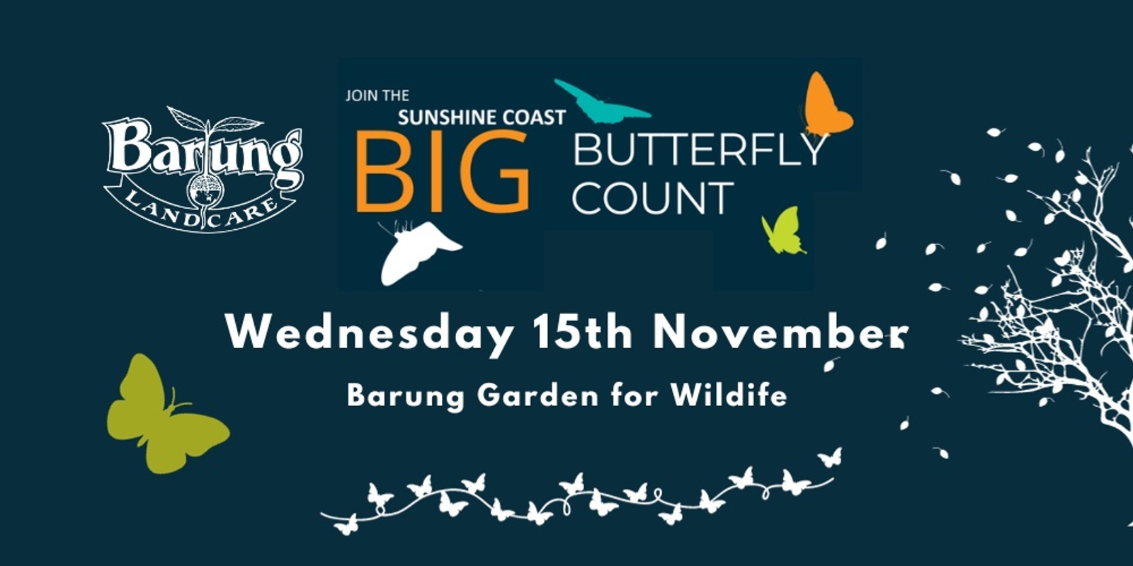 Banner image for Barung Big Butterfly Count 2023