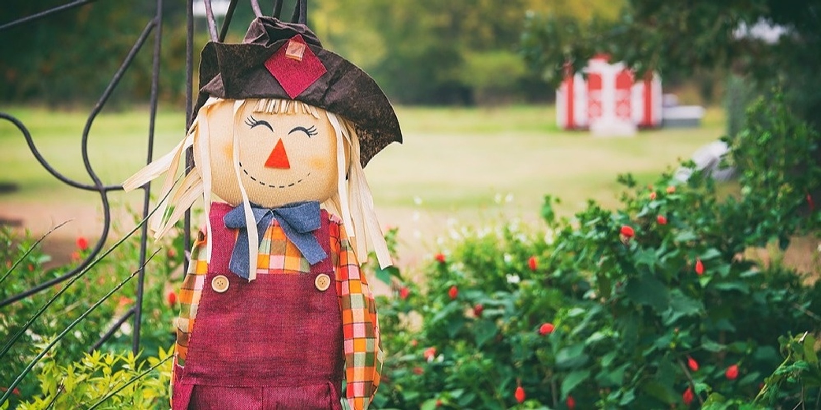 Scarecrow Making Workshop Humanitix 