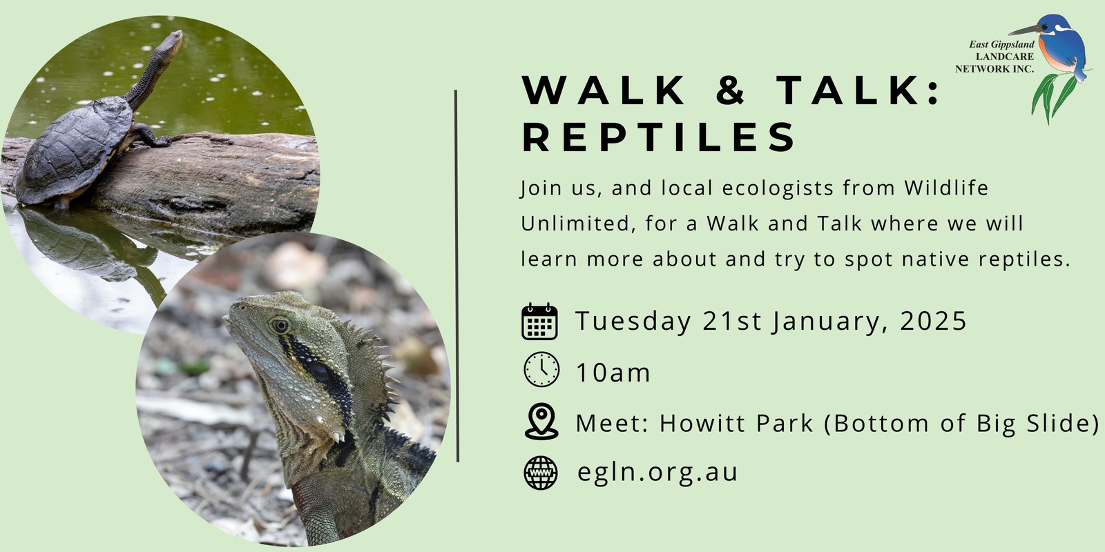 Banner image for Walk & Talk: Reptiles