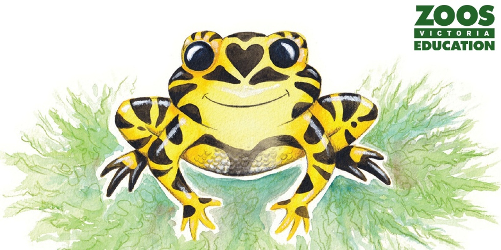 Banner image for Gyack the Corroboree Frog