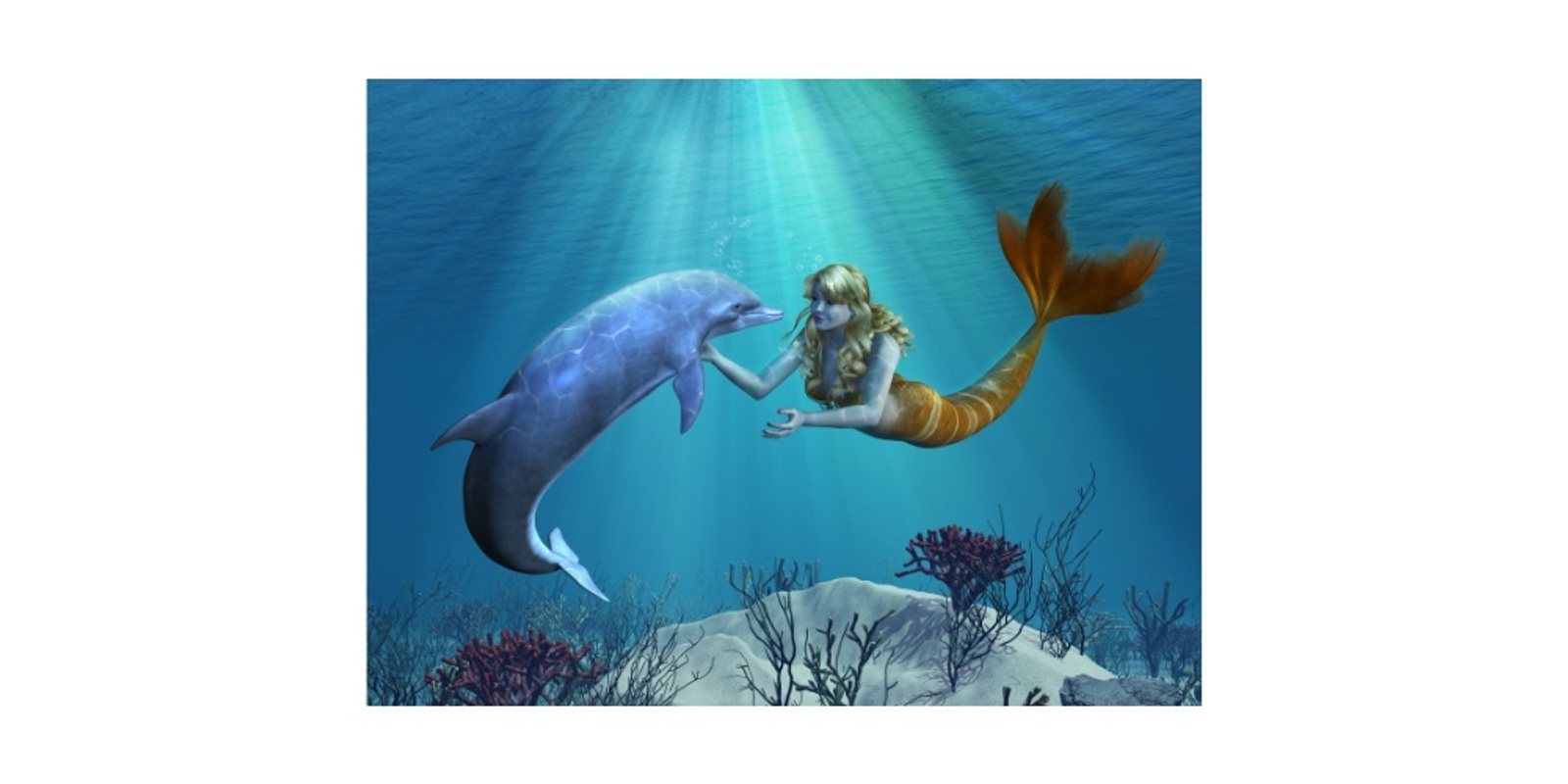 Banner image for Mermaid Adventure