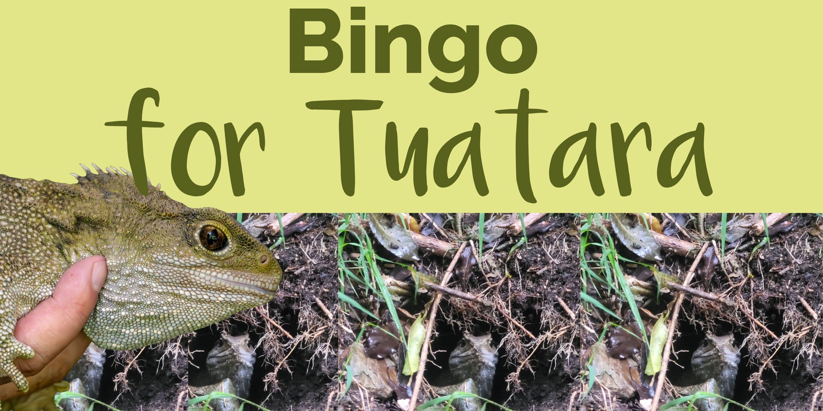 Banner image for Bingo Night for Tuatara