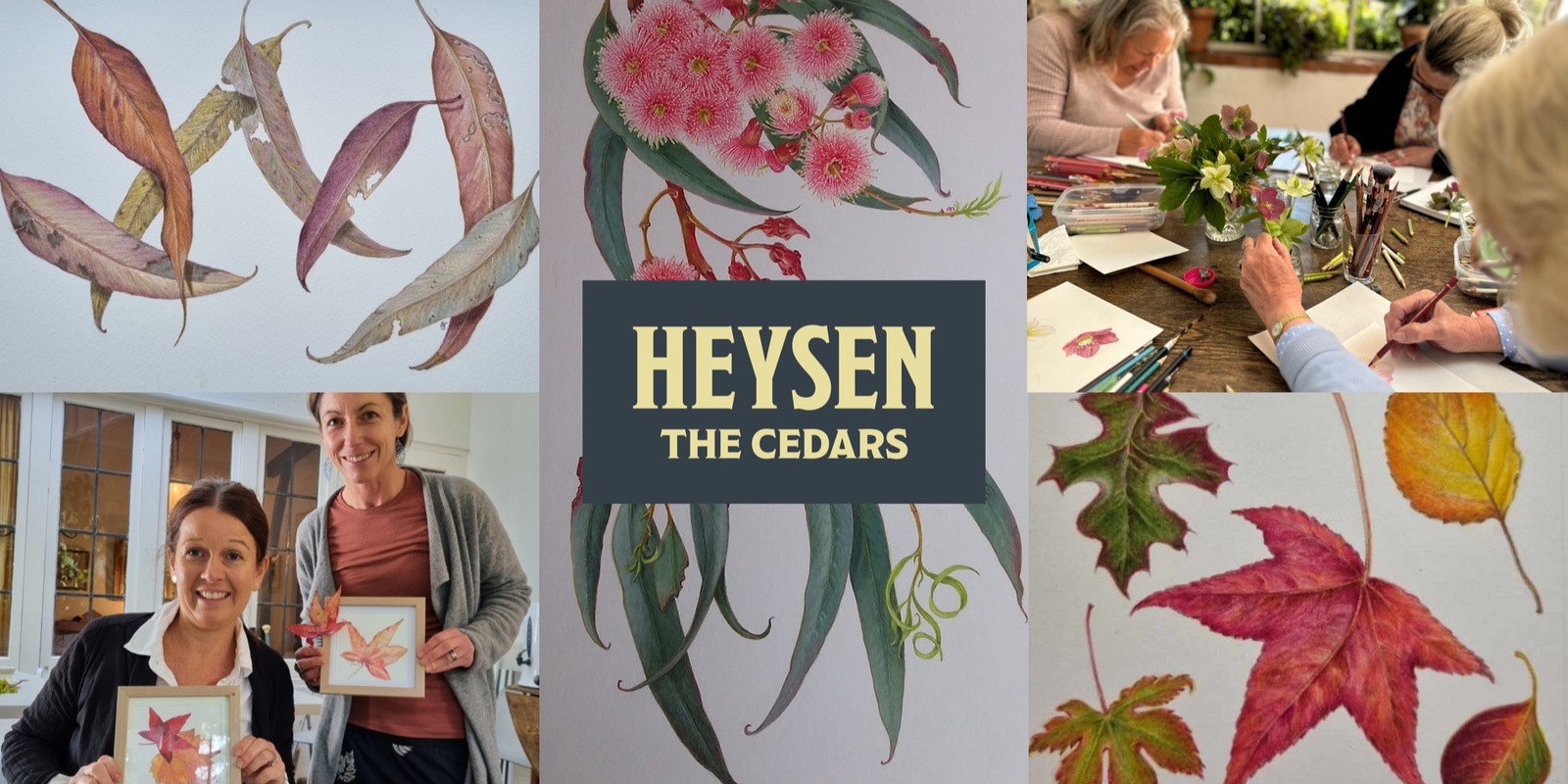 Banner image for Botanical Drawing at The Cedars