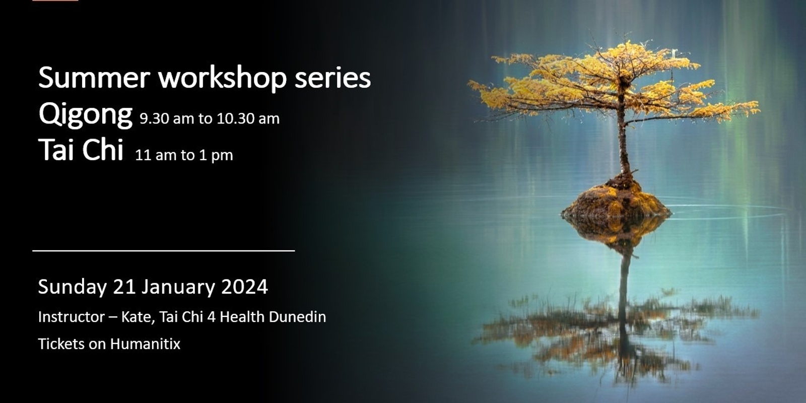 Banner image for Summer Workshops - Qigong and Tai Chi - book one or both!