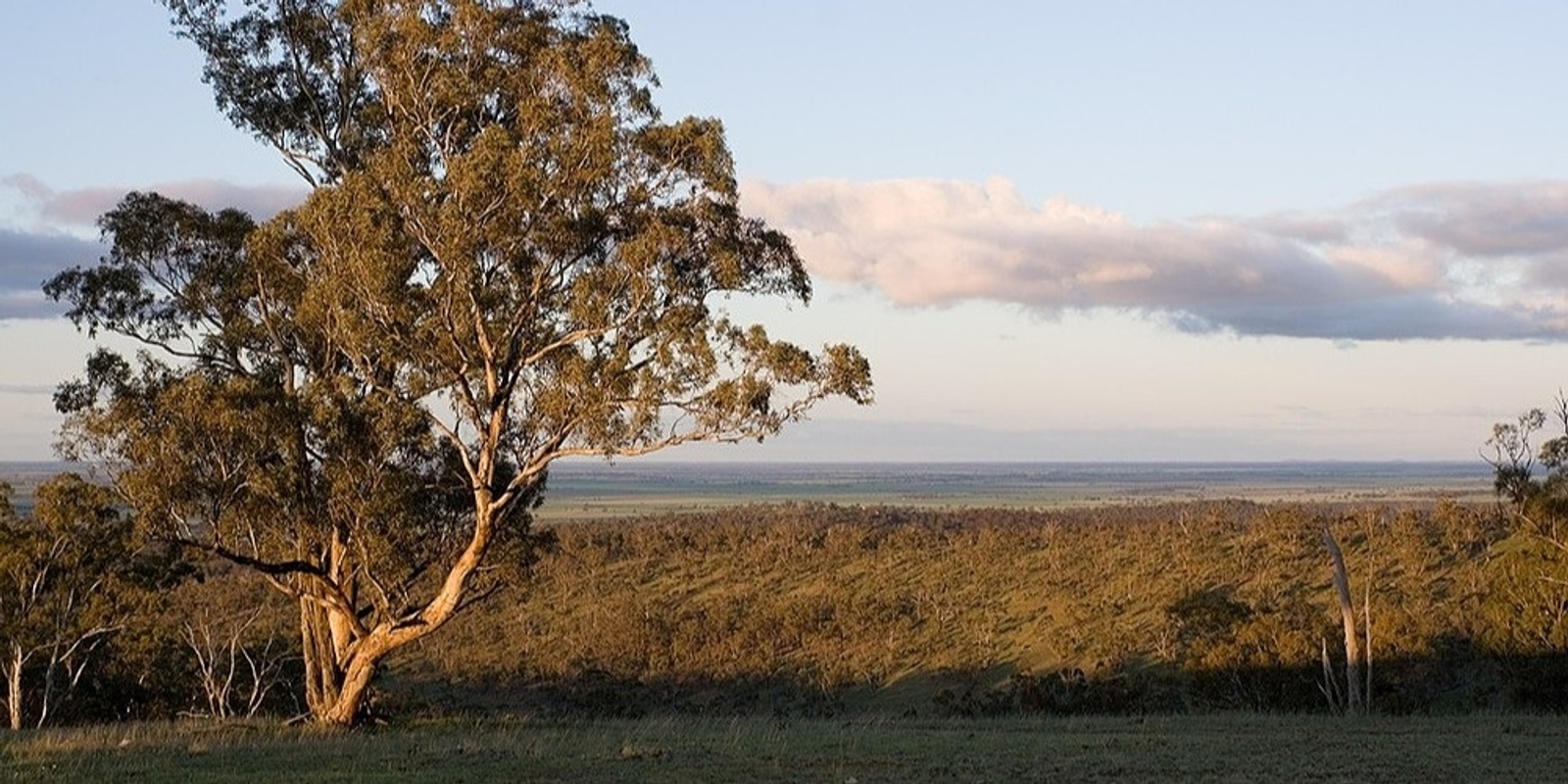 Banner image for Nardoo Hills Guided Visit 28.04.2023