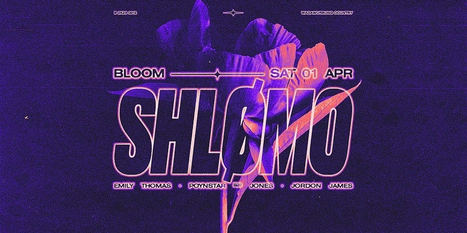 Bloom  ▬  Shlømo