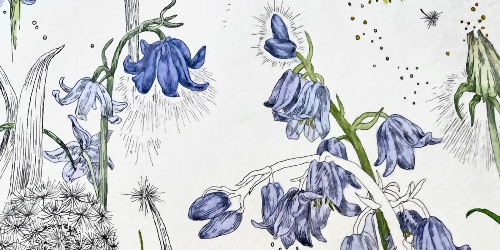 Banner image for Exhibition opening: 'love within flowers' by Emily Eliades