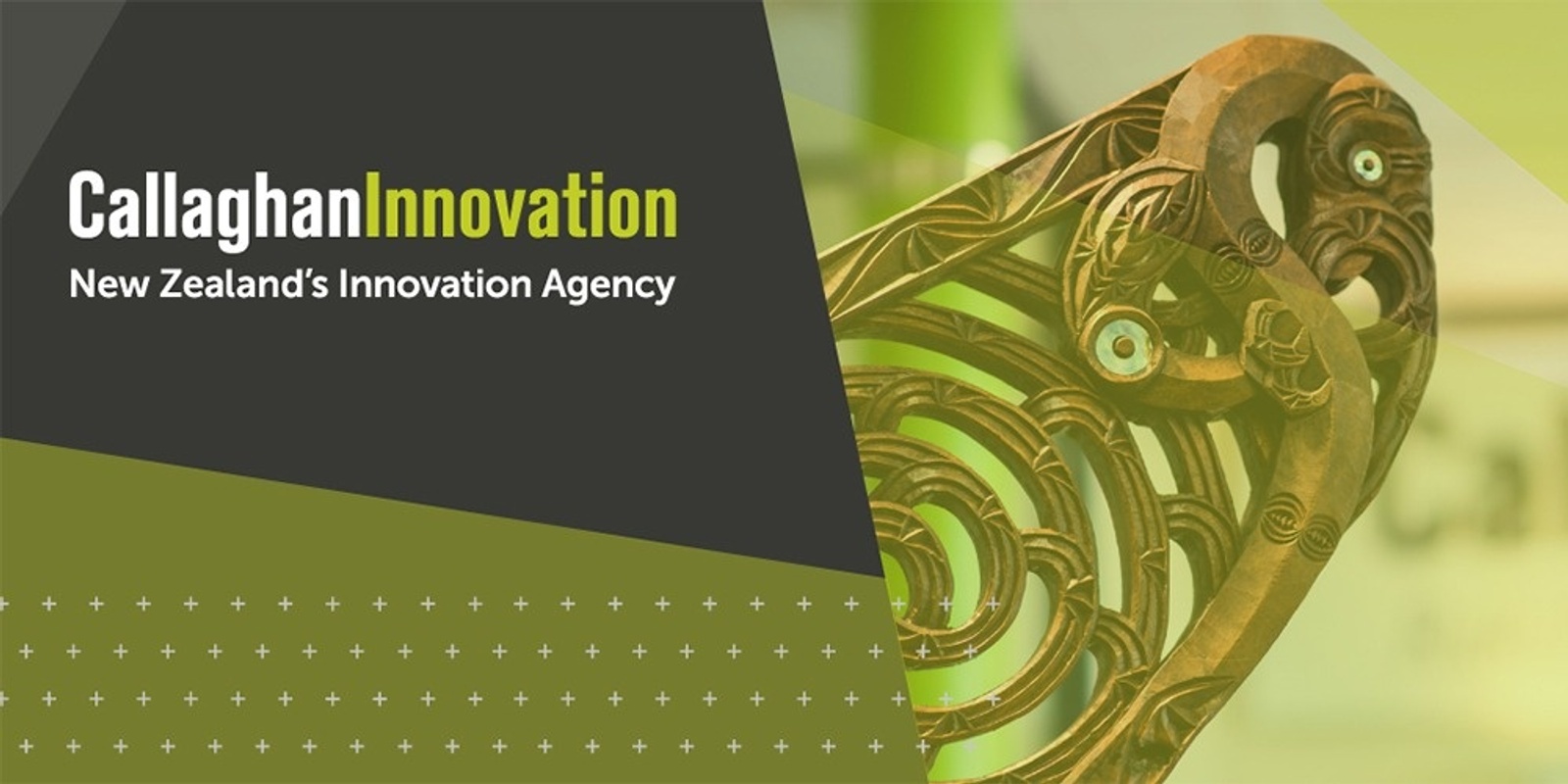 Banner image for Ten Types of Innovation®, presented by Ross Pearce