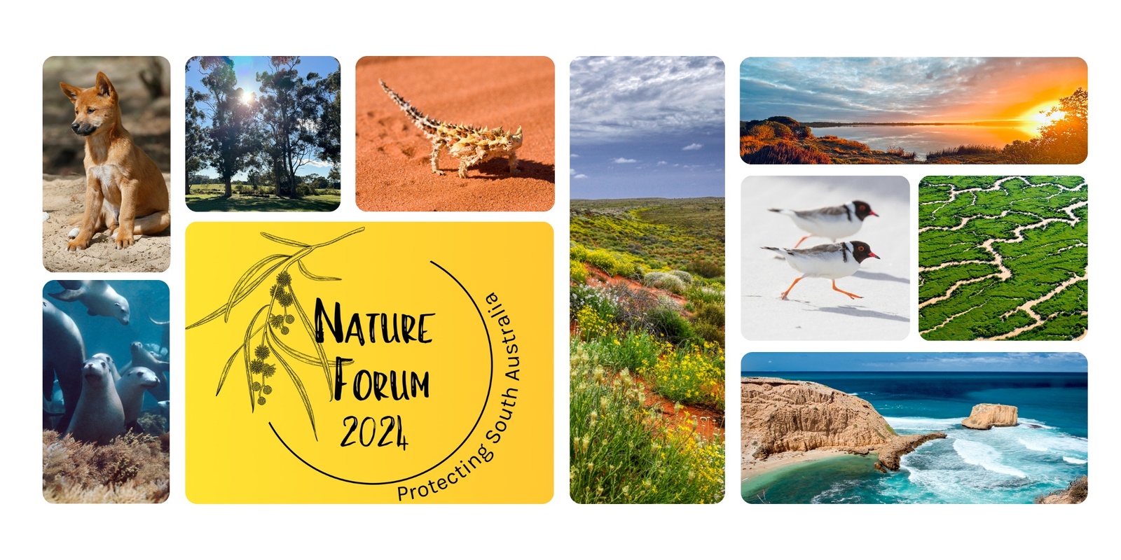 Banner image for Nature Forum 2024