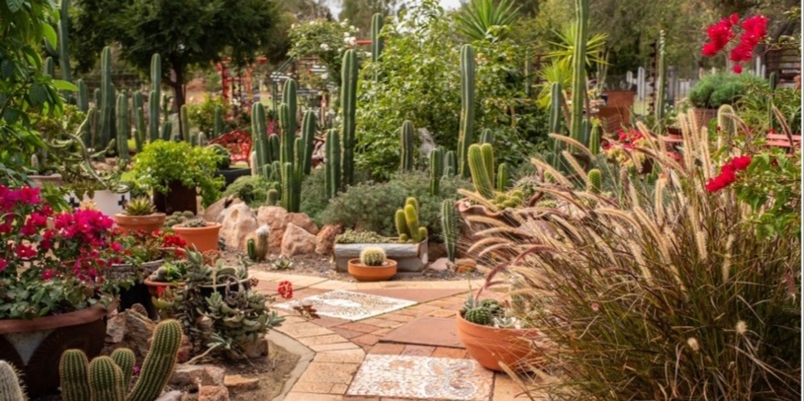 Banner image for A Unique & Eclectic Open Garden