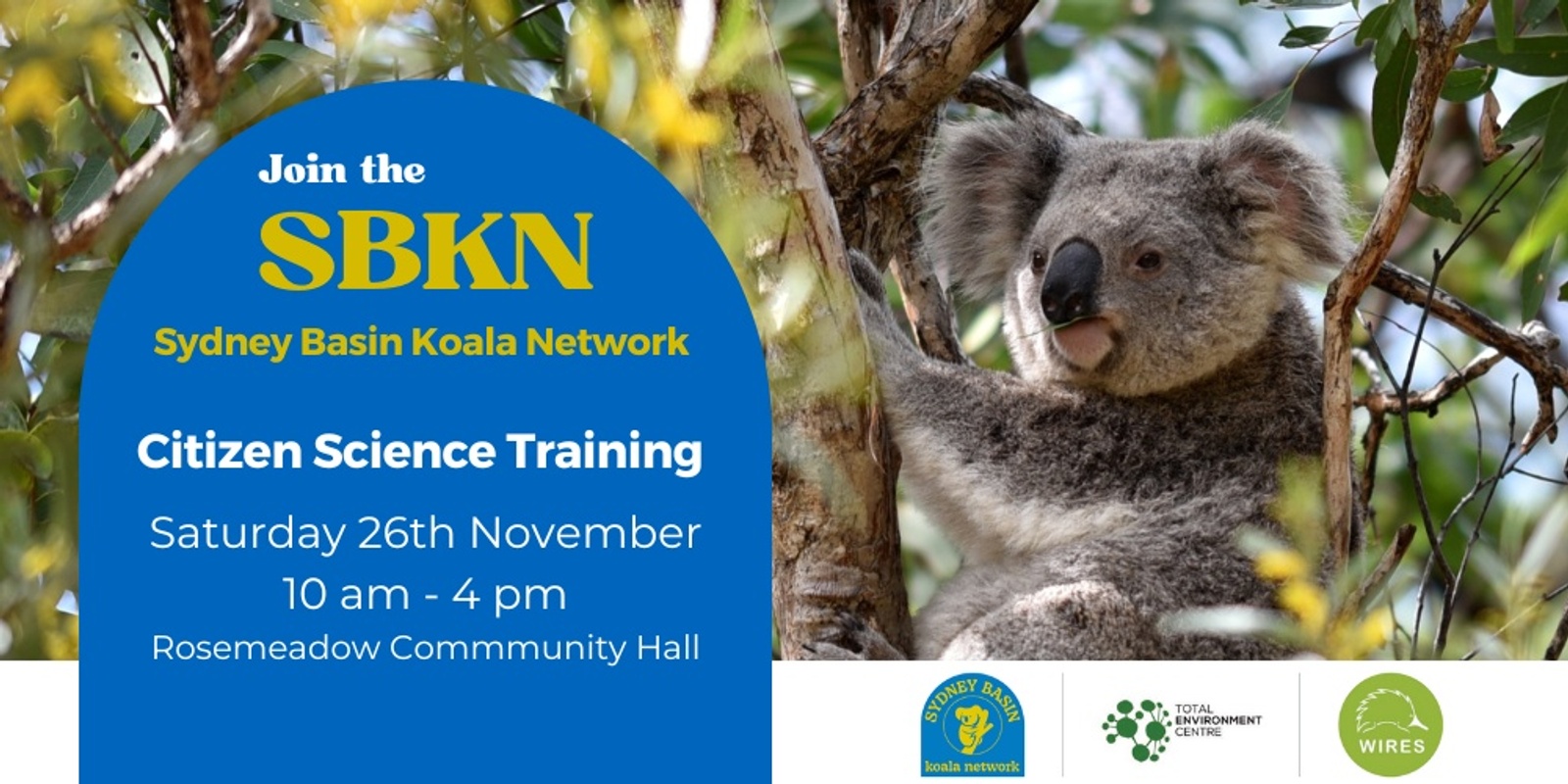 Banner image for Sydney Basin Koala Citizen Science Training Day and Community Launch
