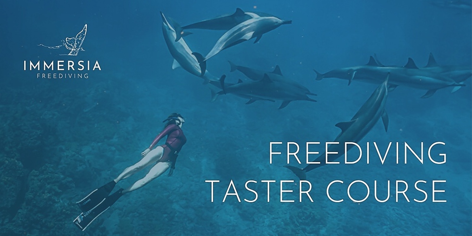 Banner image for Volvo Ocean Lovers Festival:  Freediving Taster Course