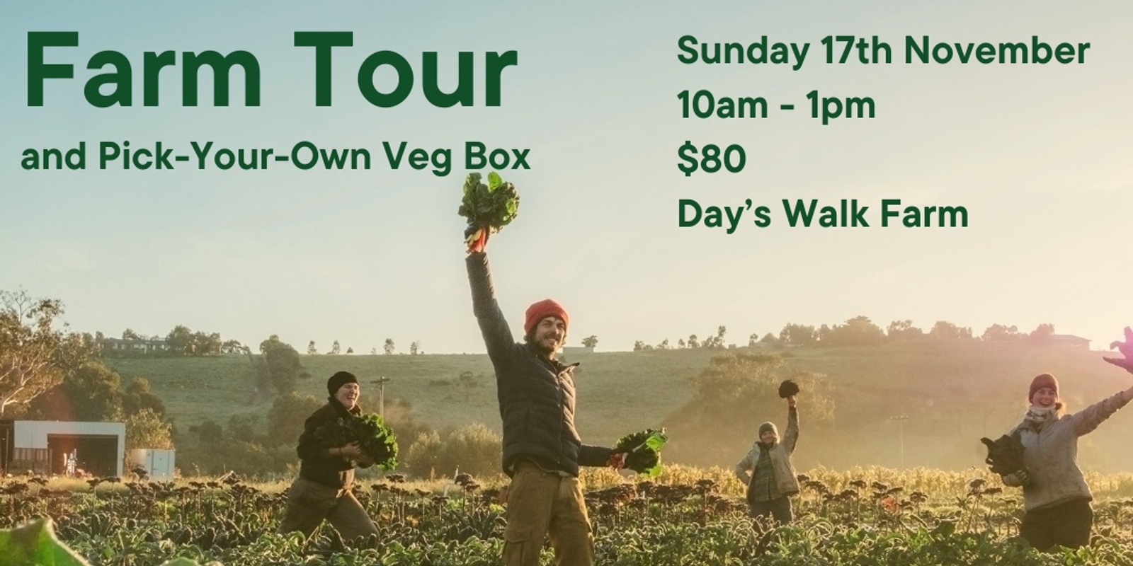 Banner image for EVENT CANCELLED Day's Walk Farm FARM TOUR & PICK YOUR OWN VEGGIE BOX 