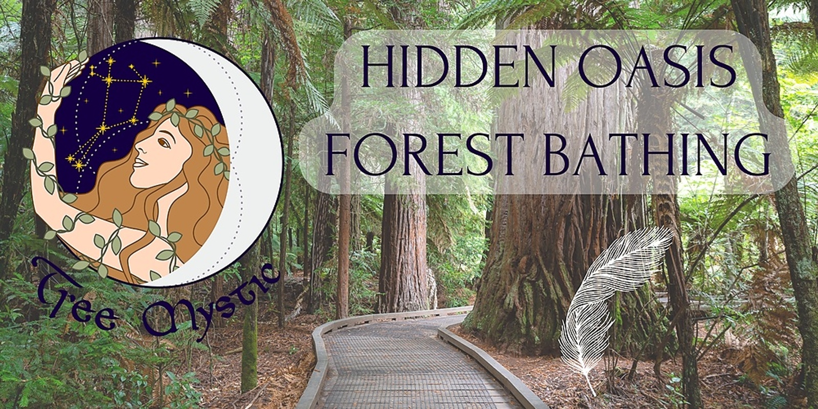 Banner image for Hidden Oasis Forest Bathing 