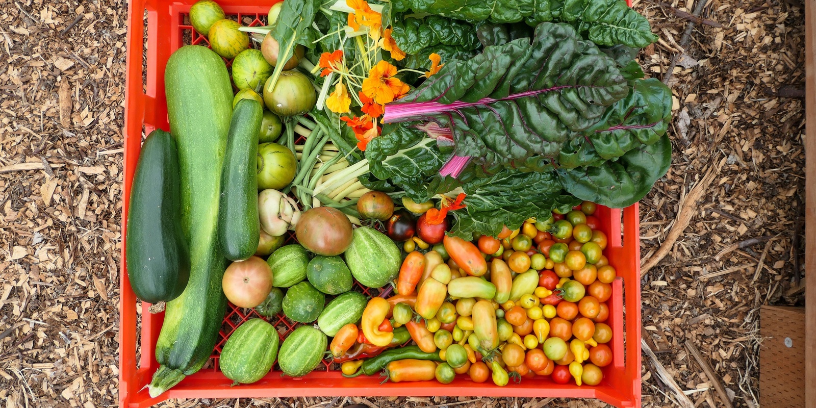 Banner image for Open Day at Canberra City Farm