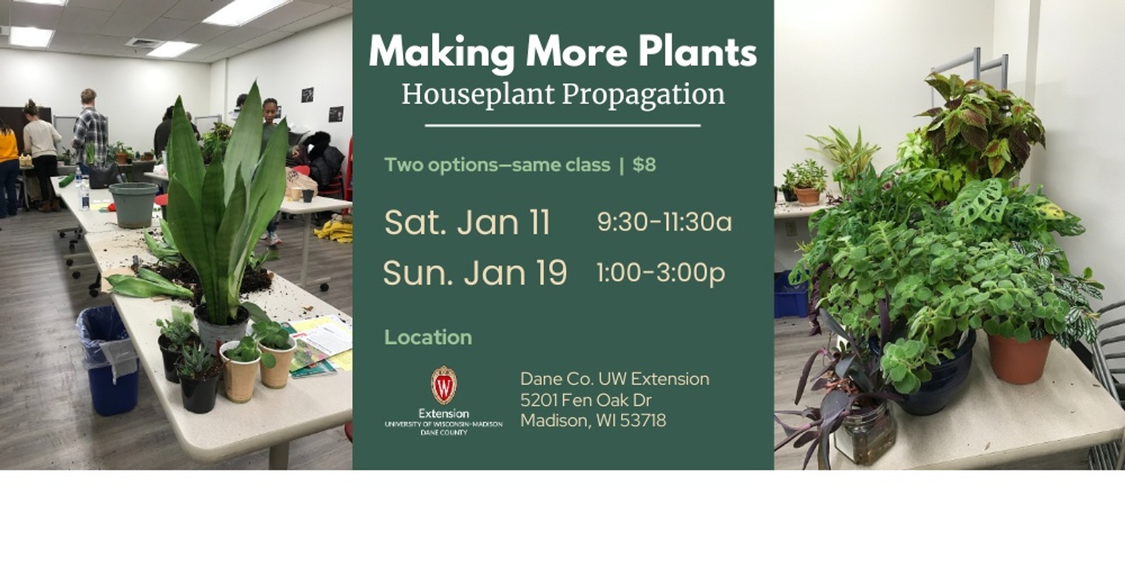 Banner image for Making More Plants: Houseplant Propagation